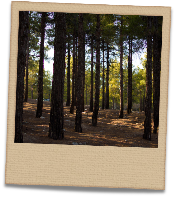 HTU26 Whiteboard (4)