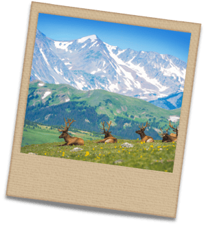 HTU26 Whiteboard (7)