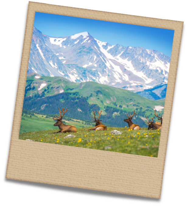 HTU26 Whiteboard (7)