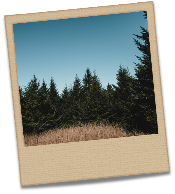 HTU26 Whiteboard (8)